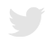 tw-icon